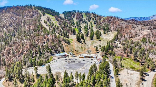1056 Eagle Rd, Wrightwood, CA 92397 - photo 50