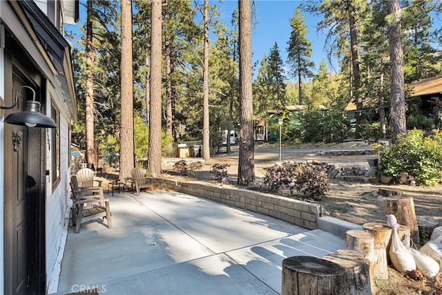 1056 Eagle Rd, Wrightwood, CA 92397 - photo 8