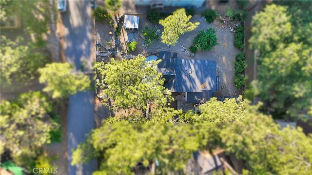 1056 Eagle Rd, Wrightwood, CA 92397 - photo 42