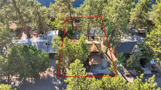 5744 Heath Creek Dr, Wrightwood, CA 92397 - photo 42