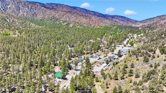 5744 Heath Creek Dr, Wrightwood, CA 92397 - photo 46