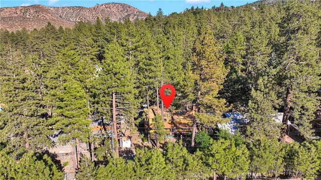 5744 Heath Creek Dr, Wrightwood, CA 92397 - photo 39