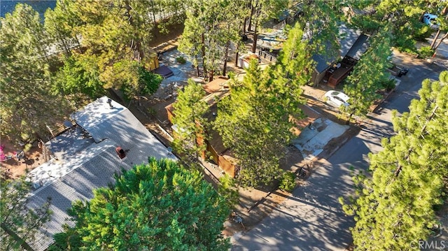 5744 Heath Creek Dr, Wrightwood, CA 92397 - photo 41