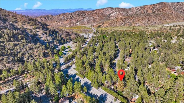 5744 Heath Creek Dr, Wrightwood, CA 92397 - photo 40