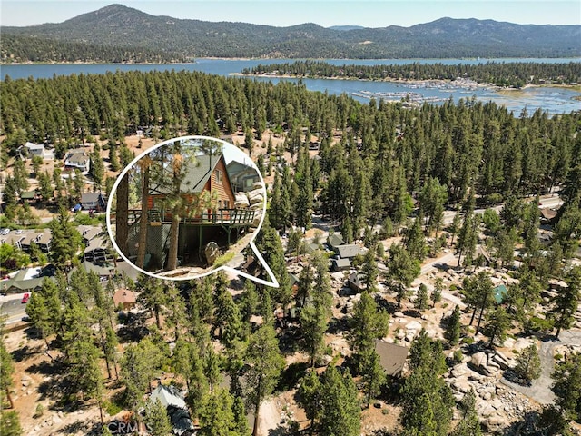 833 Brier Trl, Big Bear Lake, CA 92315 - drone / aerial view of mountains and a forest
