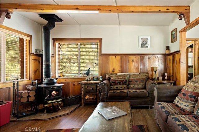 833 Brier Trl, Big Bear Lake, CA 92315 - living room featuring a wood stove, wood finished floors, and a wainscoted wall