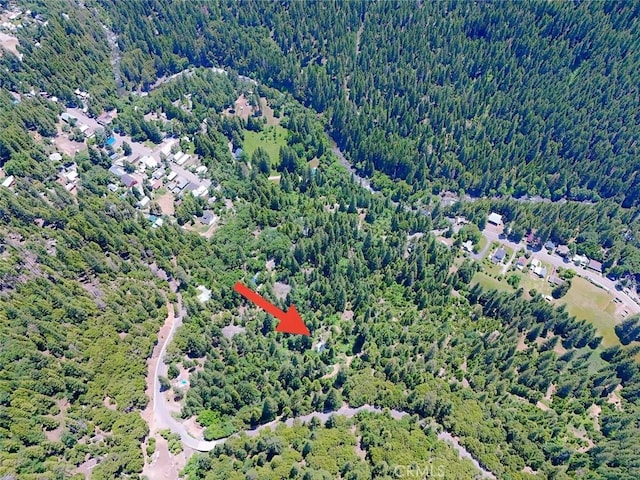 35 Sierra Buttes Rd, Sierra City, CA 96125 - photo 35