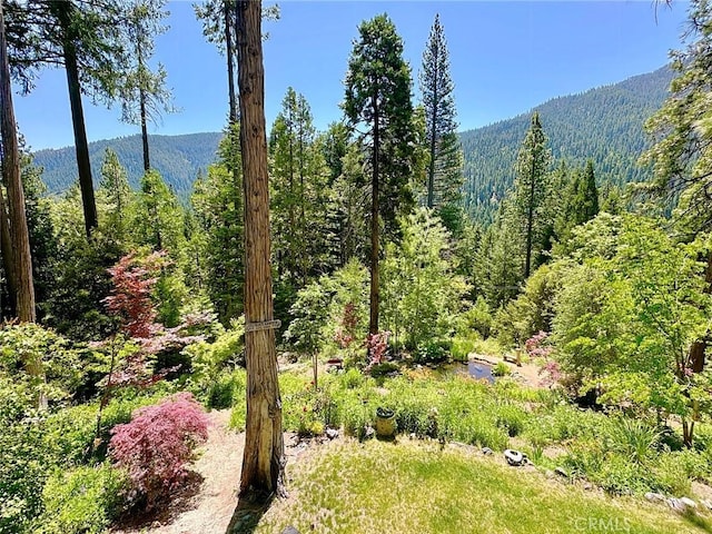 35 Sierra Buttes Rd, Sierra City, CA 96125 - photo 24