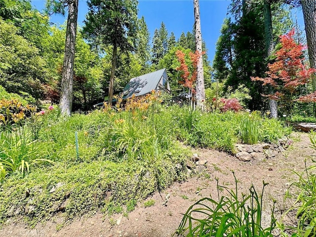 35 Sierra Buttes Rd, Sierra City, CA 96125 - photo 21