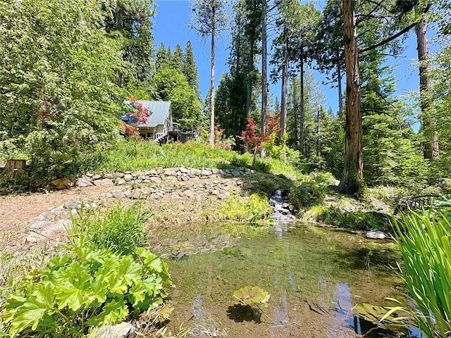 35 Sierra Buttes Rd, Sierra City, CA 96125 - photo 20