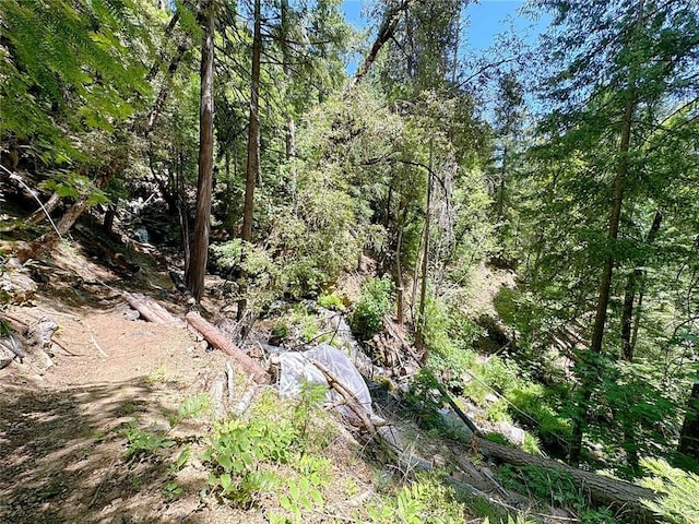 35 Sierra Buttes Rd, Sierra City, CA 96125 - photo 27