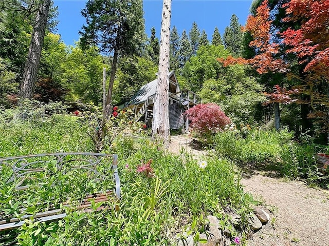 35 Sierra Buttes Rd, Sierra City, CA 96125 - photo 23