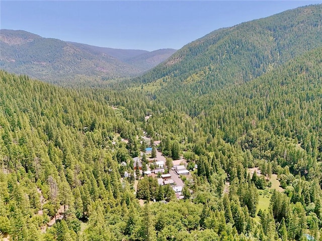 35 Sierra Buttes Rd, Sierra City, CA 96125 - photo 36