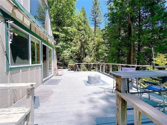 35 Sierra Buttes Rd, Sierra City, CA 96125 - photo 18