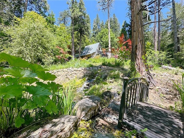 35 Sierra Buttes Rd, Sierra City, CA 96125 - photo 22