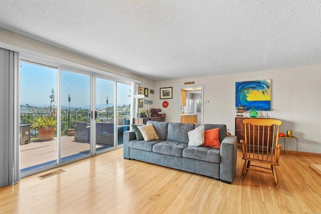 3135 S Bonita St, Spring Valley, CA 91977 - living room featuring a textured ceiling and wood finished floors