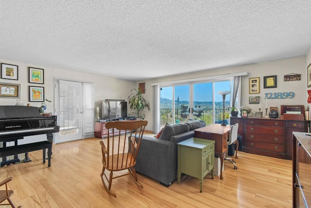 3135 S Bonita St, Spring Valley, CA 91977 - living area featuring light wood-style floors and a textured ceiling