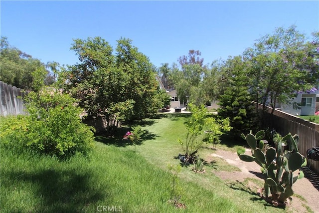 23281 Via Bahia, Mission Viejo, CA 92691 - view of yard