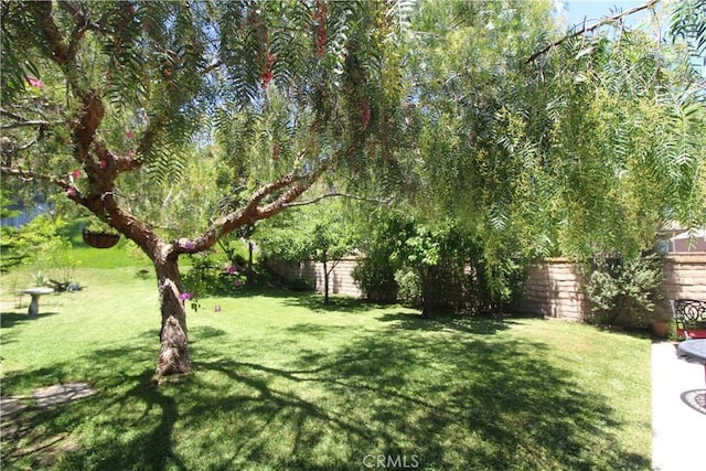 23281 Via Bahia, Mission Viejo, CA 92691 - view of fenced backyard