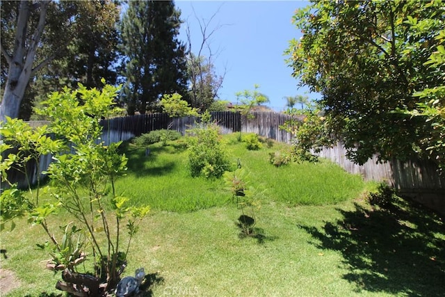 23281 Via Bahia, Mission Viejo, CA 92691 - view of fenced backyard