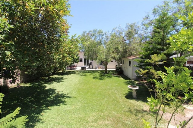 23281 Via Bahia, Mission Viejo, CA 92691 - view of green lawn