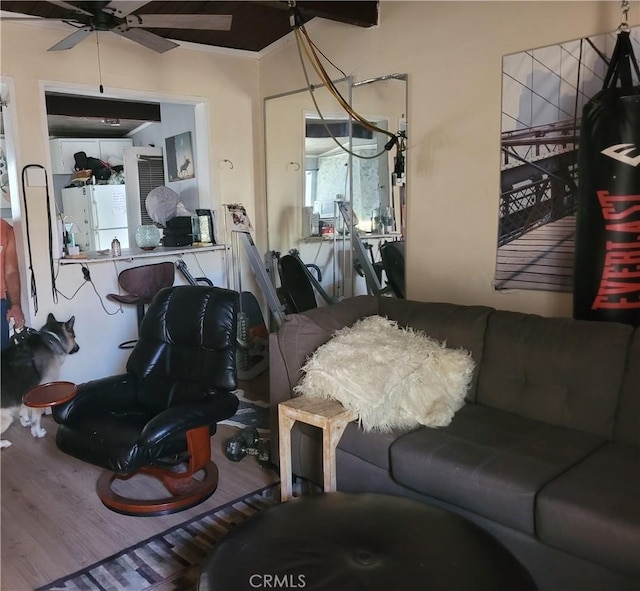 7401 W Manchester Ave, Los Angeles, CA 90045 - living room featuring wood finished floors and ceiling fan
