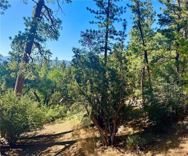 810 Villa Grove Ave, Big Bear City, CA 92314 - photo 33