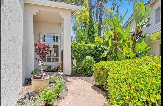 1878 Timber Trl, Vista, CA 92081 - photo 4