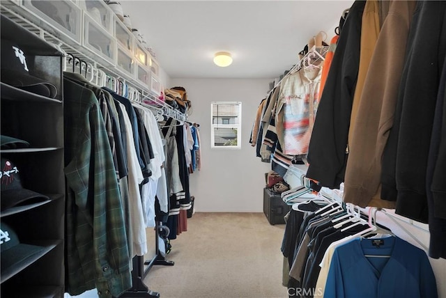 13223 La Crescenta Ave, Hesperia, CA 92344 - photo 38