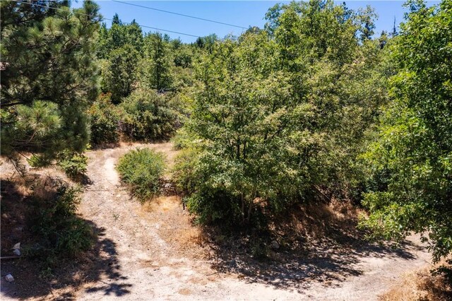 29521 Pine Ridge Dr, Cedar Glen, CA 92321 - photo 11