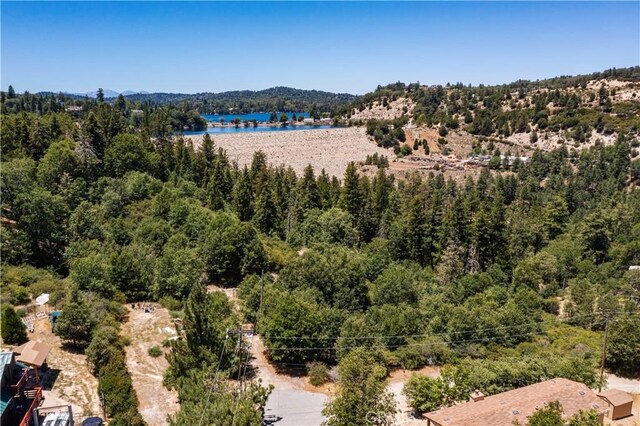 29521 Pine Ridge Dr, Cedar Glen, CA 92321 - photo 20