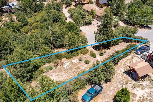 29521 Pine Ridge Dr, Cedar Glen, CA 92321 - photo 5