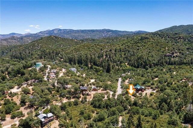 29521 Pine Ridge Dr, Cedar Glen, CA 92321 - photo 28