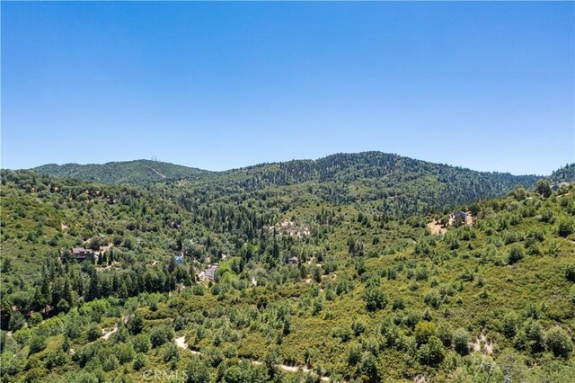 29521 Pine Ridge Dr, Cedar Glen, CA 92321 - photo 27
