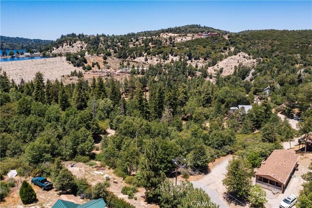 29521 Pine Ridge Dr, Cedar Glen, CA 92321 - photo 21