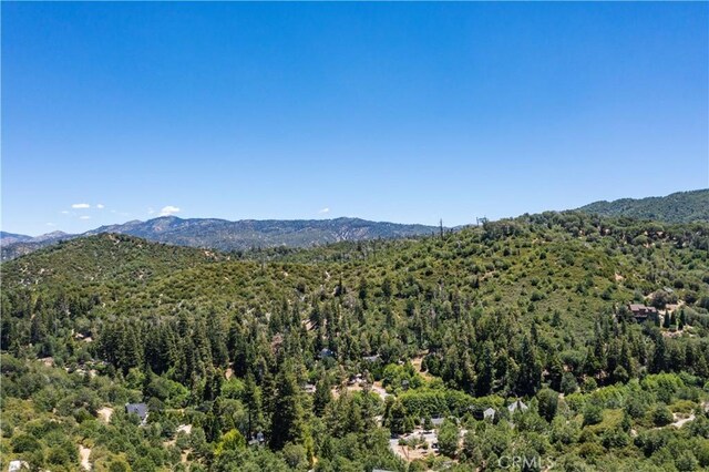 29521 Pine Ridge Dr, Cedar Glen, CA 92321 - photo 26