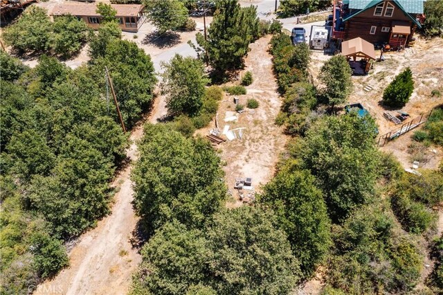 29521 Pine Ridge Dr, Cedar Glen, CA 92321 - photo 17
