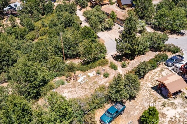 29521 Pine Ridge Dr, Cedar Glen, CA 92321 - photo 18
