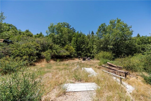 29521 Pine Ridge Dr, Cedar Glen, CA 92321 - photo 15