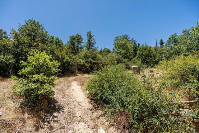 29521 Pine Ridge Dr, Cedar Glen, CA 92321 - photo 12