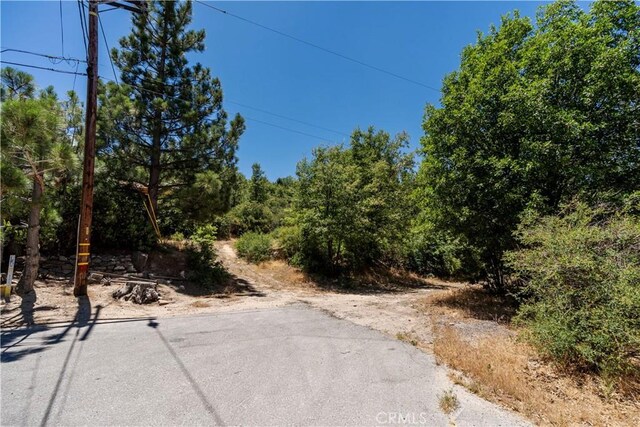 29521 Pine Ridge Dr, Cedar Glen, CA 92321 - photo 8
