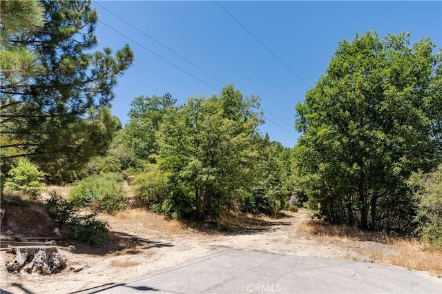 29521 Pine Ridge Dr, Cedar Glen, CA 92321 - photo 9