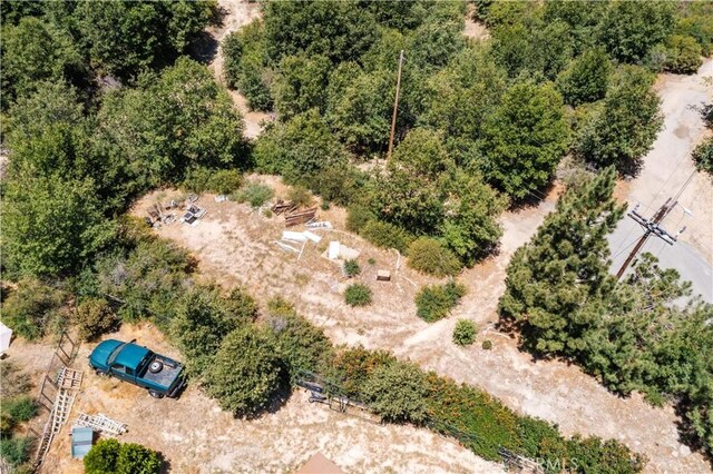 29521 Pine Ridge Dr, Cedar Glen, CA 92321 - photo 19