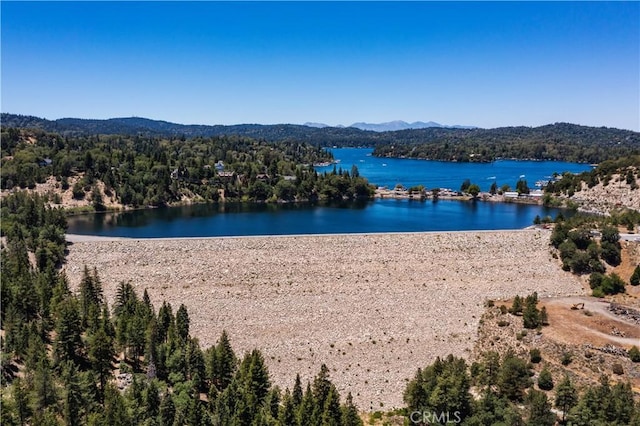 29521 Pine Ridge Dr, Cedar Glen, CA 92321 - photo 1