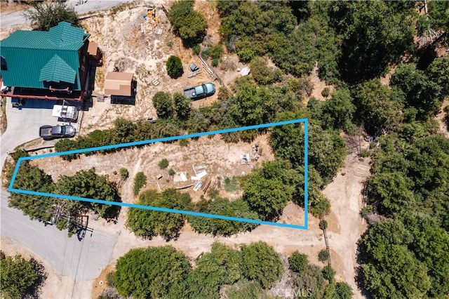 29521 Pine Ridge Dr, Cedar Glen, CA 92321 - photo 4