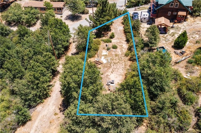29521 Pine Ridge Dr, Cedar Glen, CA 92321 - photo 7