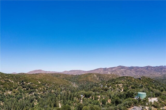 29521 Pine Ridge Dr, Cedar Glen, CA 92321 - photo 25
