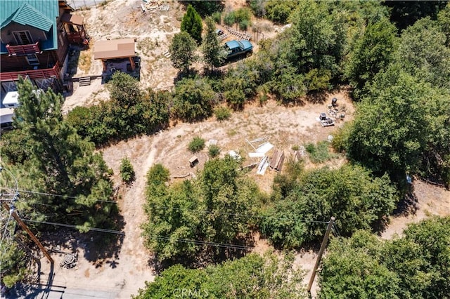 29521 Pine Ridge Dr, Cedar Glen, CA 92321 - photo 16