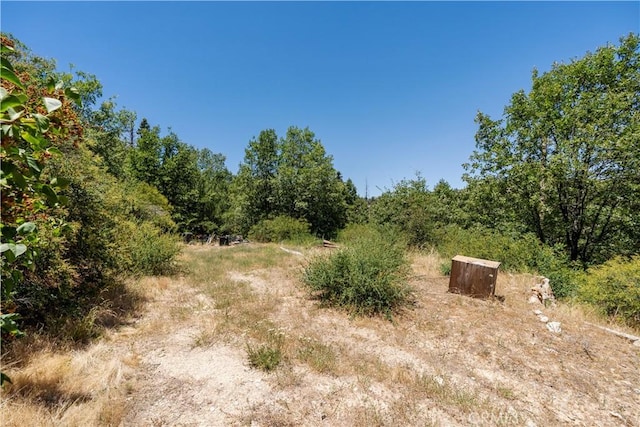 29521 Pine Ridge Dr, Cedar Glen, CA 92321 - photo 13