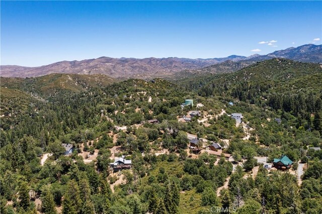 29521 Pine Ridge Dr, Cedar Glen, CA 92321 - photo 23
